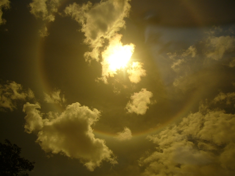 Photo n365